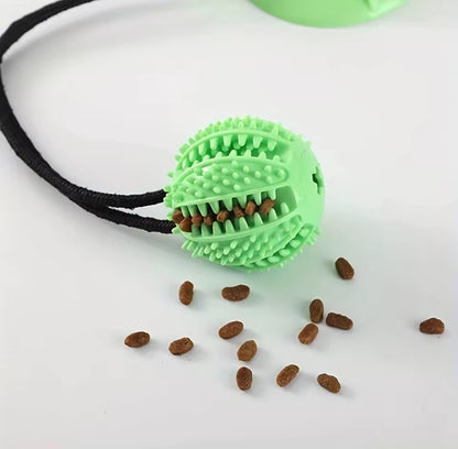 Indestructible Eco-Friendly Interactive Dog Chew Treat Ball