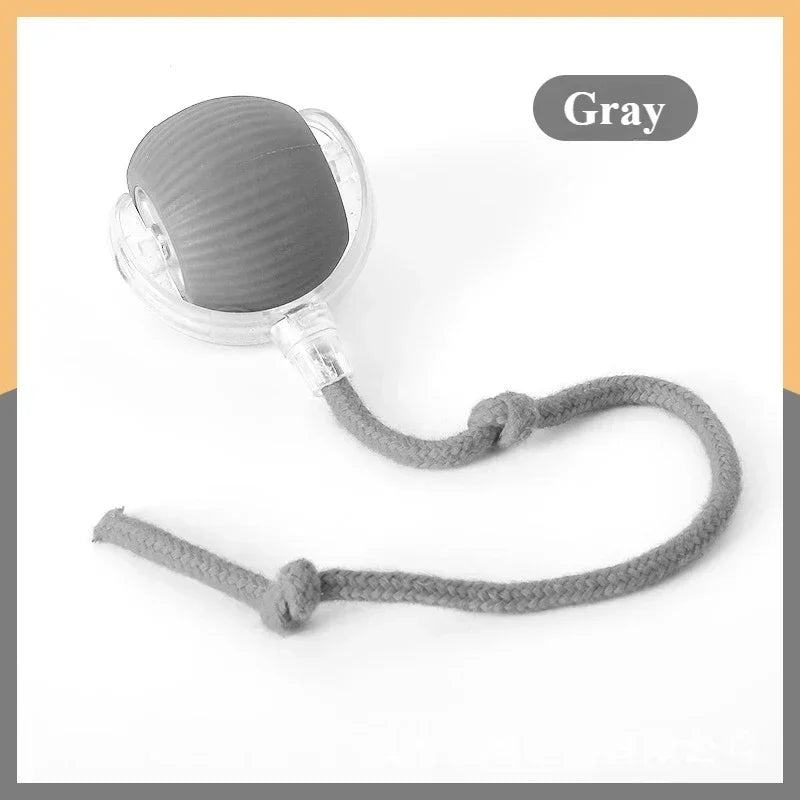Rechargeable Cat & Dog Rolling Toy-5