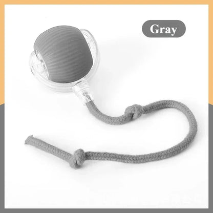 Rechargeable Cat & Dog Rolling Toy-5