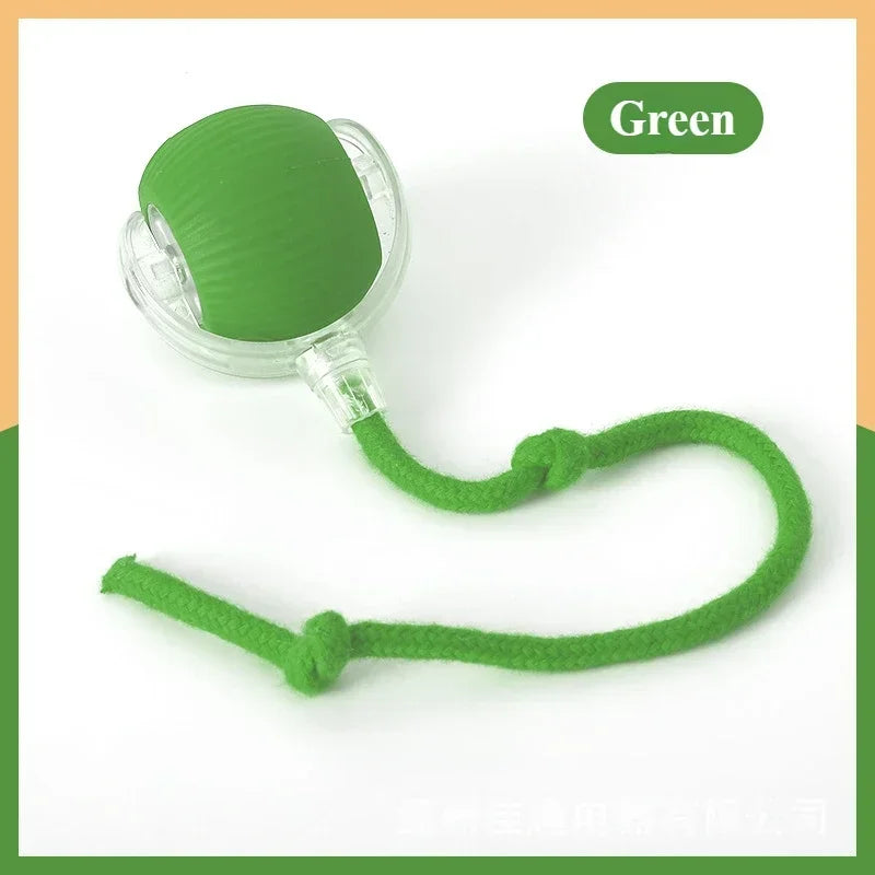 Rechargeable Cat & Dog Rolling Toy-6