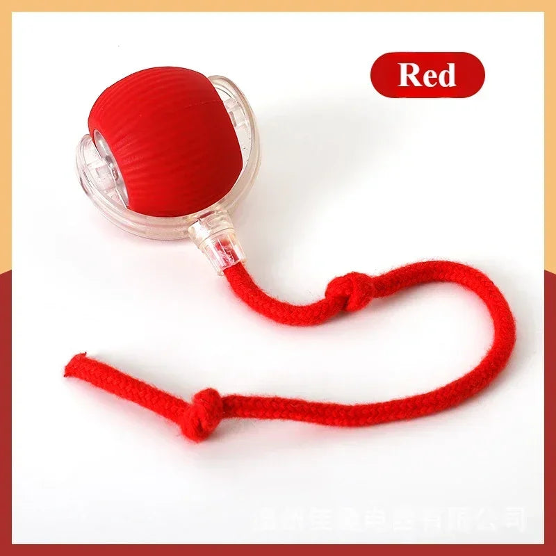 Rechargeable Cat & Dog Rolling Toy-7