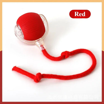 Rechargeable Cat & Dog Rolling Toy-7