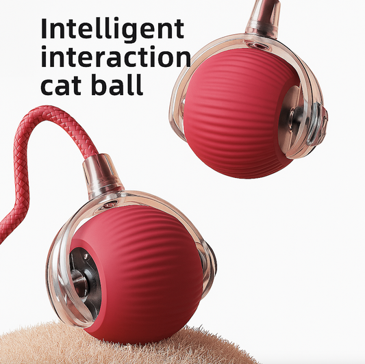 Rechargeable Cat & Dog Rolling Toy